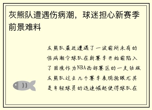 灰熊队遭遇伤病潮，球迷担心新赛季前景难料