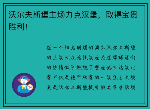 沃尔夫斯堡主场力克汉堡，取得宝贵胜利！
